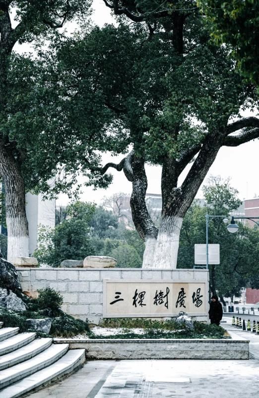k8凯发娱乐城官方网站
