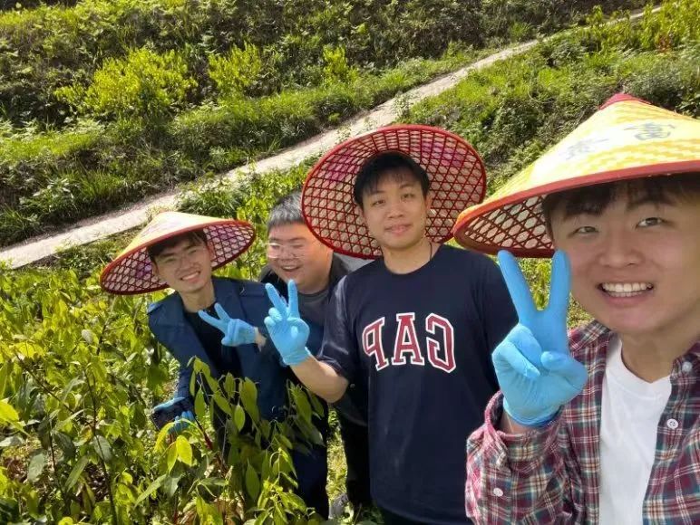 k8凯发娱乐城官方网站