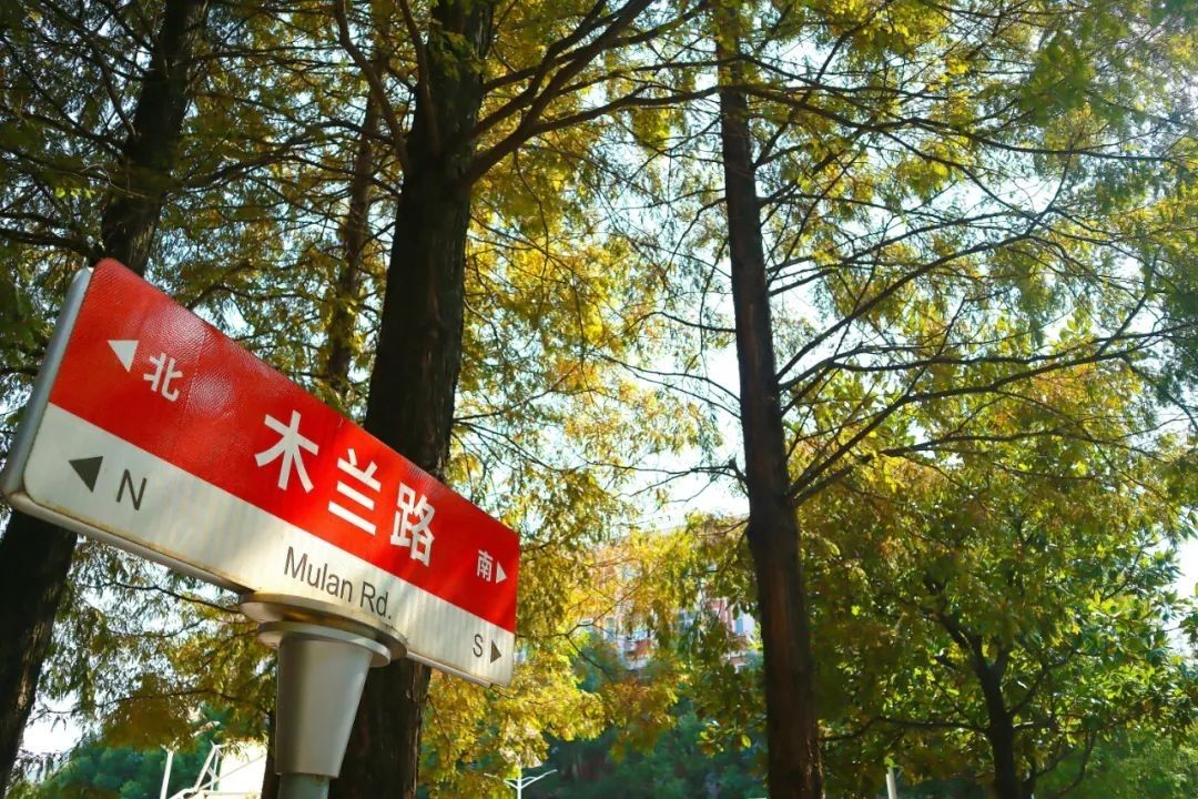 k8凯发娱乐城官方网站