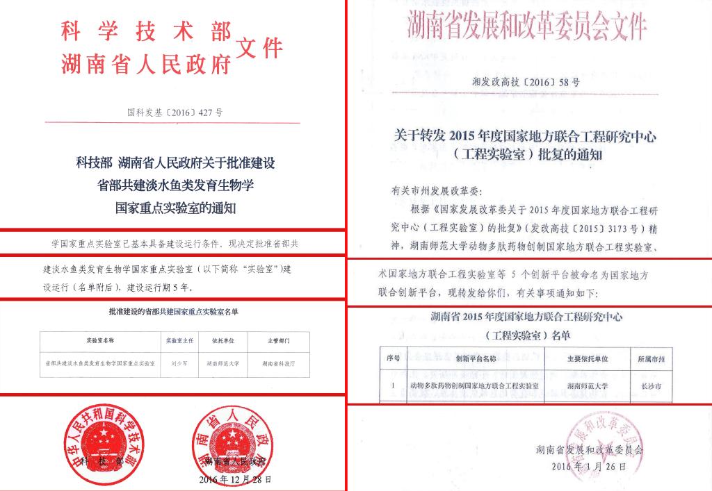 k8凯发娱乐城官方网站