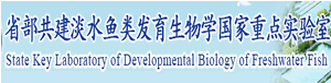 k8凯发娱乐城官方网站
