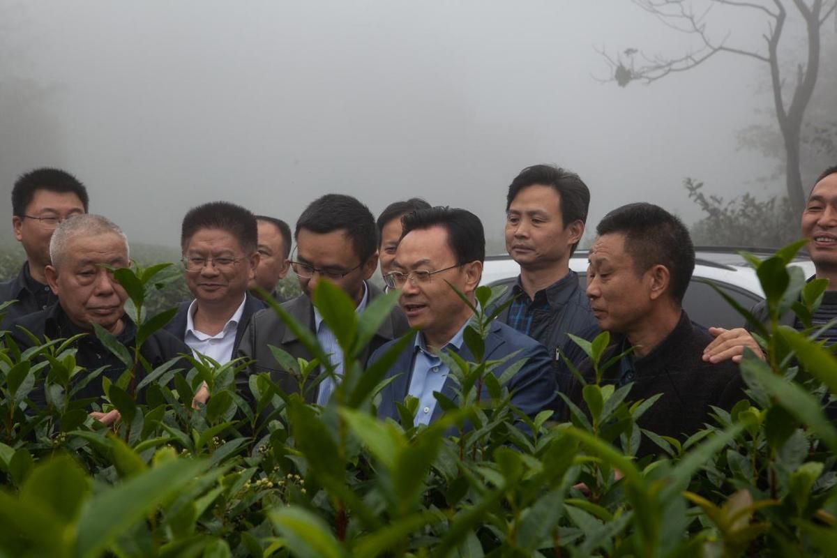 k8凯发娱乐城官方网站