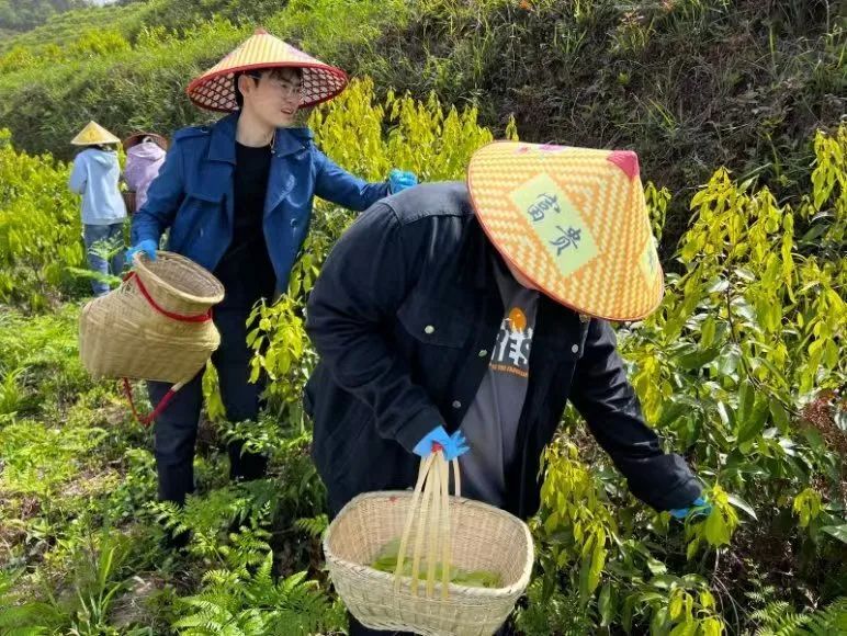 k8凯发娱乐城官方网站
